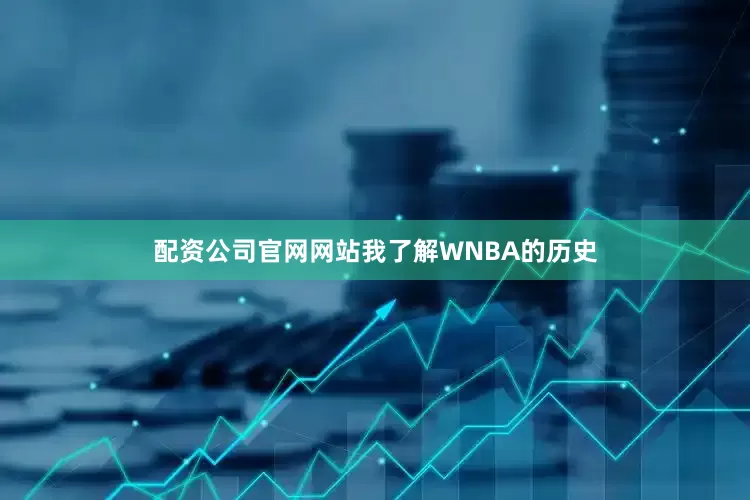 配资公司官网网站我了解WNBA的历史
