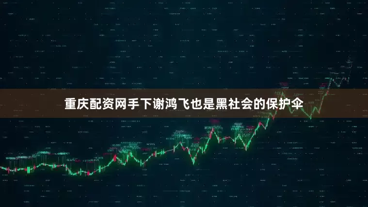 重庆配资网手下谢鸿飞也是黑社会的保护伞