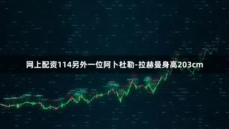 网上配资114另外一位阿卜杜勒-拉赫曼身高203cm