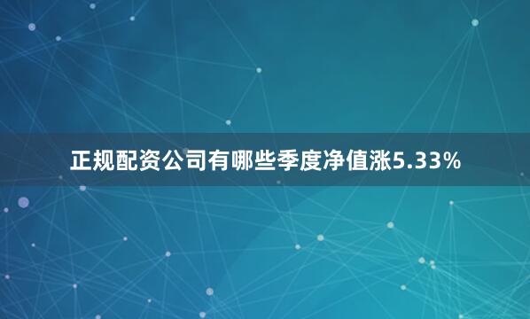正规配资公司有哪些季度净值涨5.33%