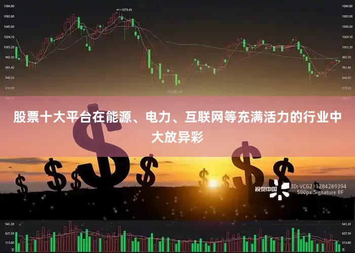 股票十大平台在能源、电力、互联网等充满活力的行业中大放异彩